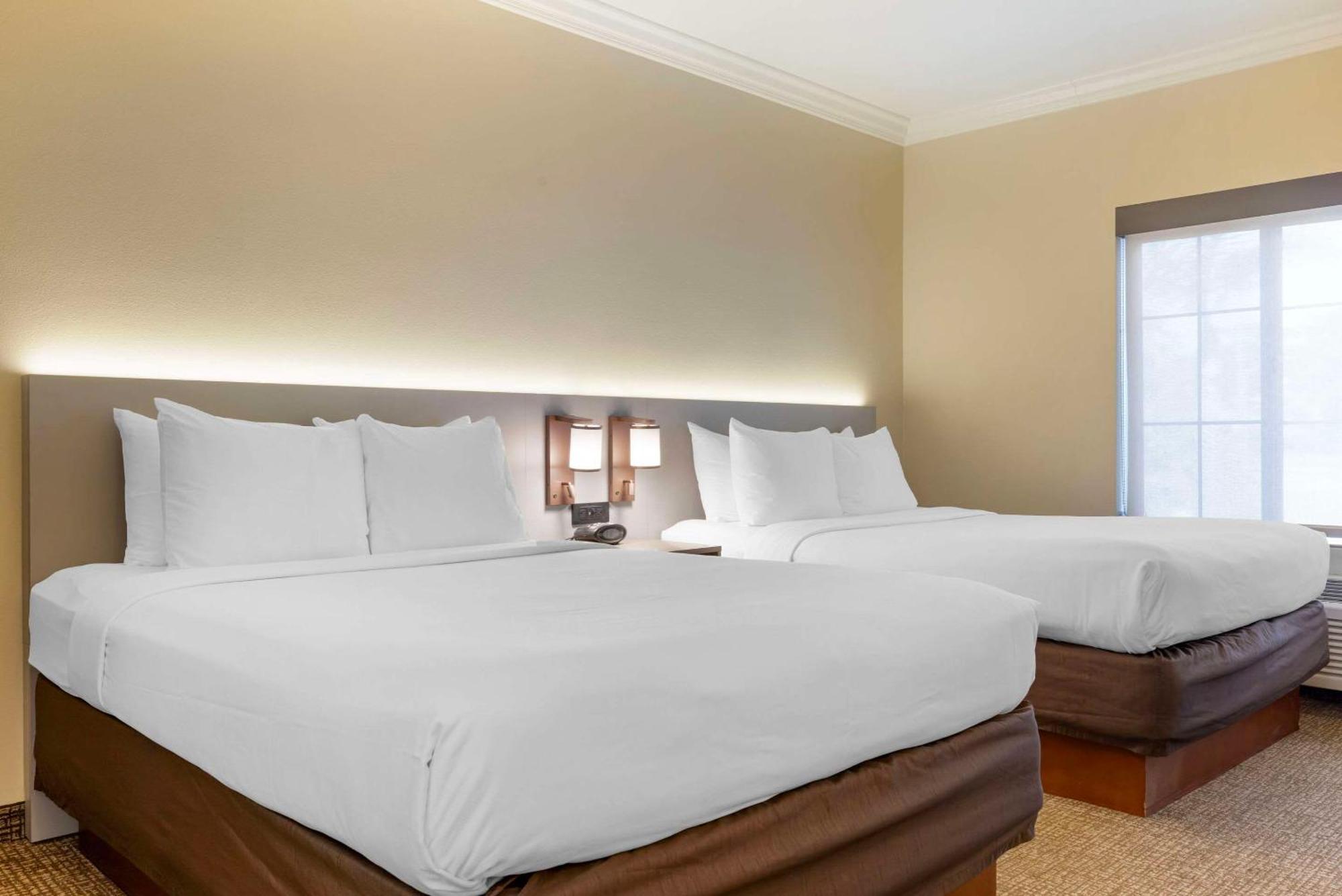 Comfort Suites Oceanside Camp Pendleton Area Eksteriør bilde
